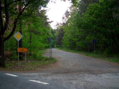 Saxonia 2017-05-25 05