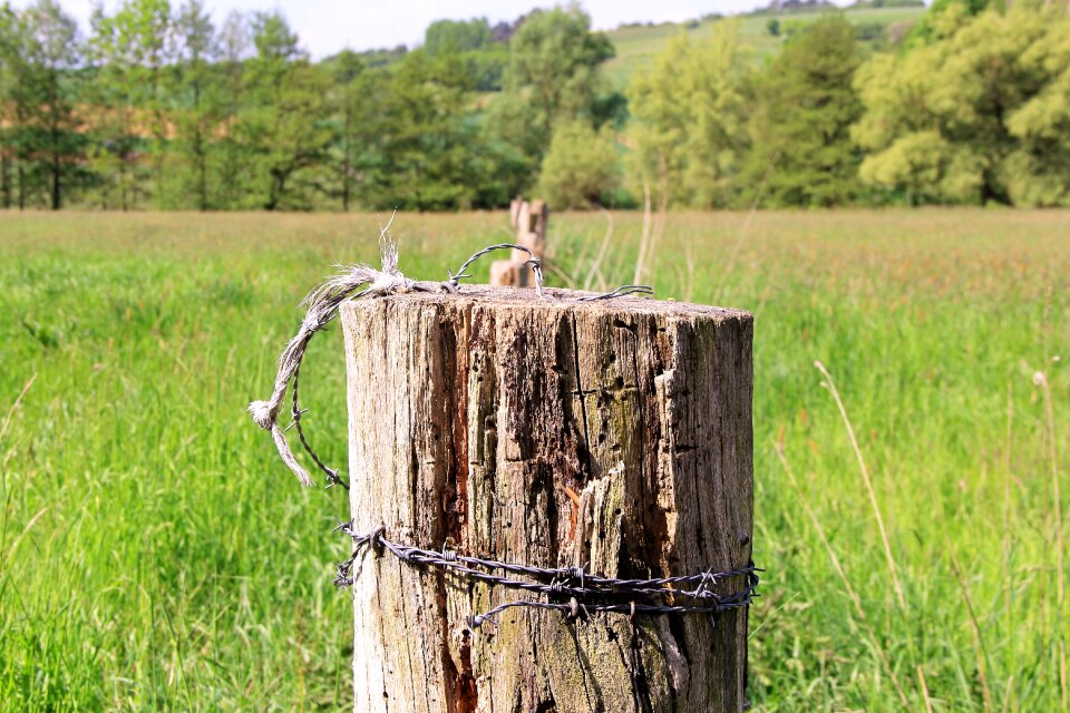 Post wood wooden posts