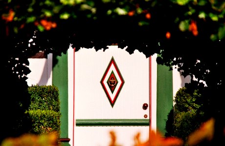 Schapen Haus Wullmoor 02