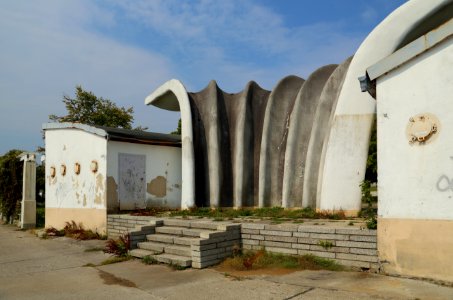 Sassnitz Kurmuschel 02