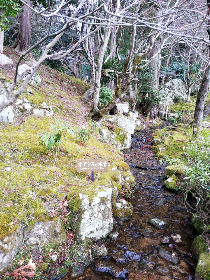 Shakazan Hyakusai-ji Temple 20210305 13