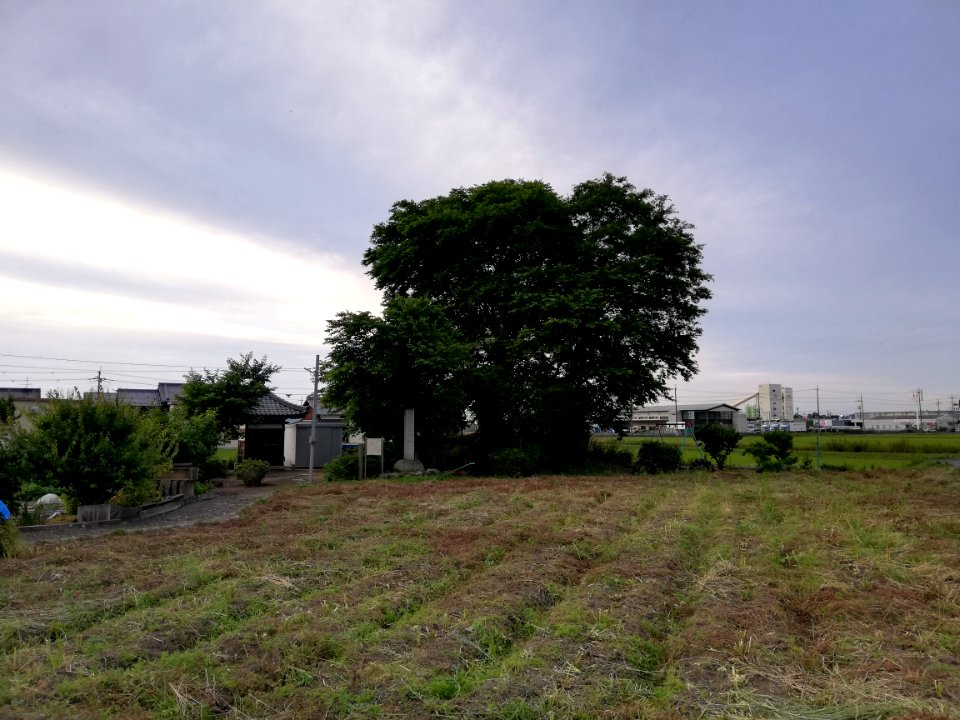 Senzoku Kofun Group Kuyōzuka Kofun 20210606 14