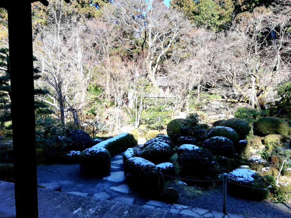 Shōhōzan Kongōrin-ji 20210121 13