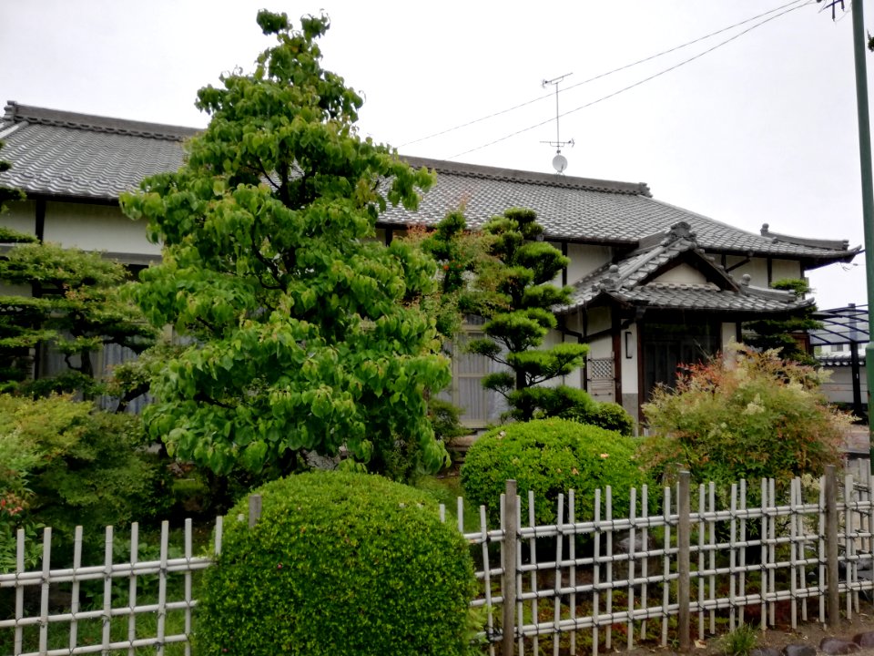 Shōgakusan Jōtei-ji Temple 20210527 07