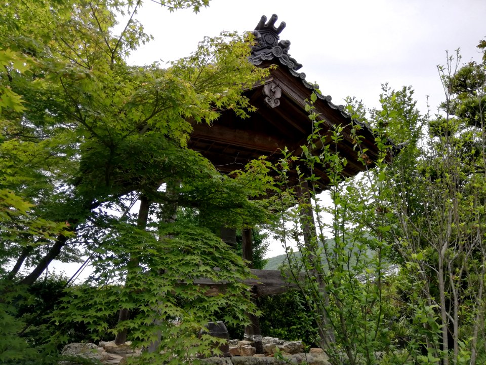 Seikōzan Saigon-ji Temple 20210528 04