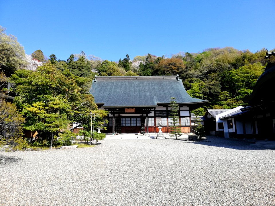 Shōjusan Seiryō-ji Temple 20210411 04
