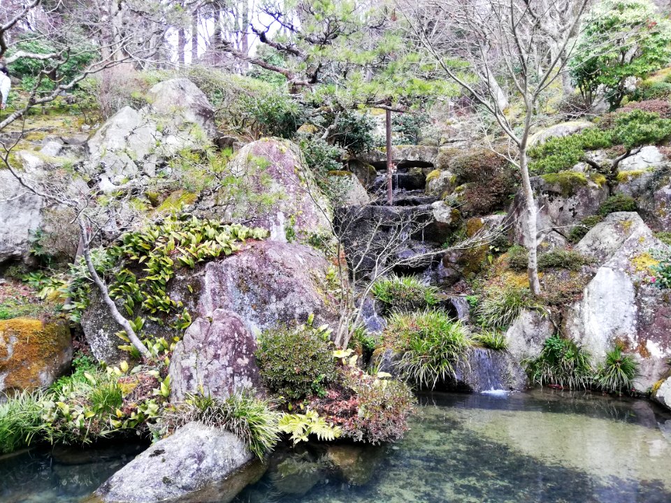 Shakazan Hyakusai-ji Temple 20210305 10