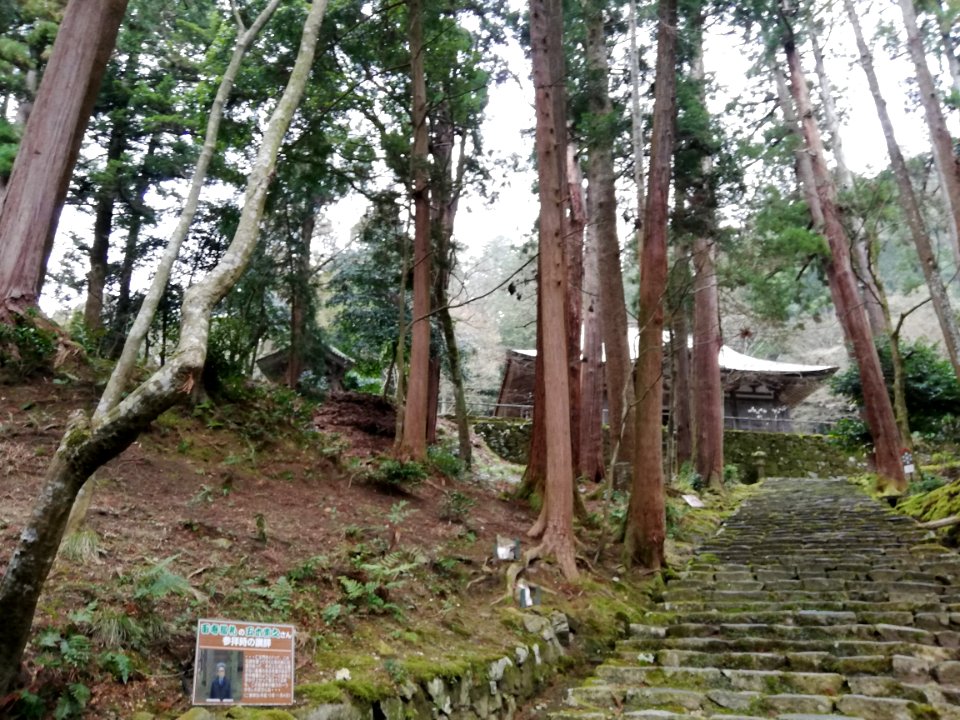 Shakazan Hyakusai-ji Temple 20210305 20