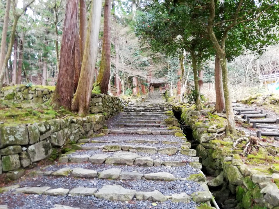 Shakazan Hyakusai-ji Temple 20210305 17