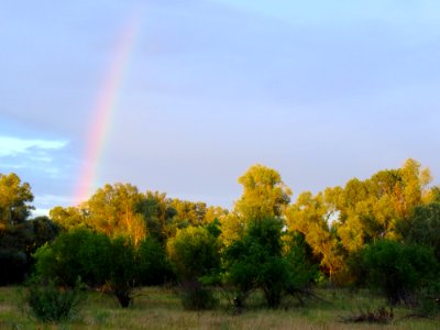 Rozhivska spit rainbow 03
