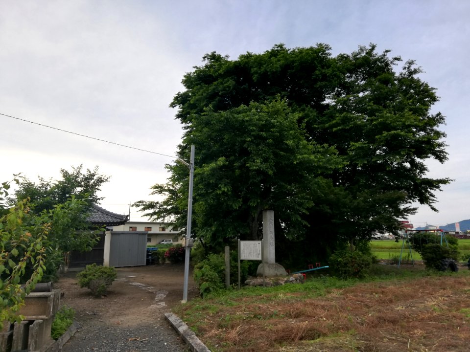 Senzoku Kofun Group Kuyōzuka Kofun 20210606 02