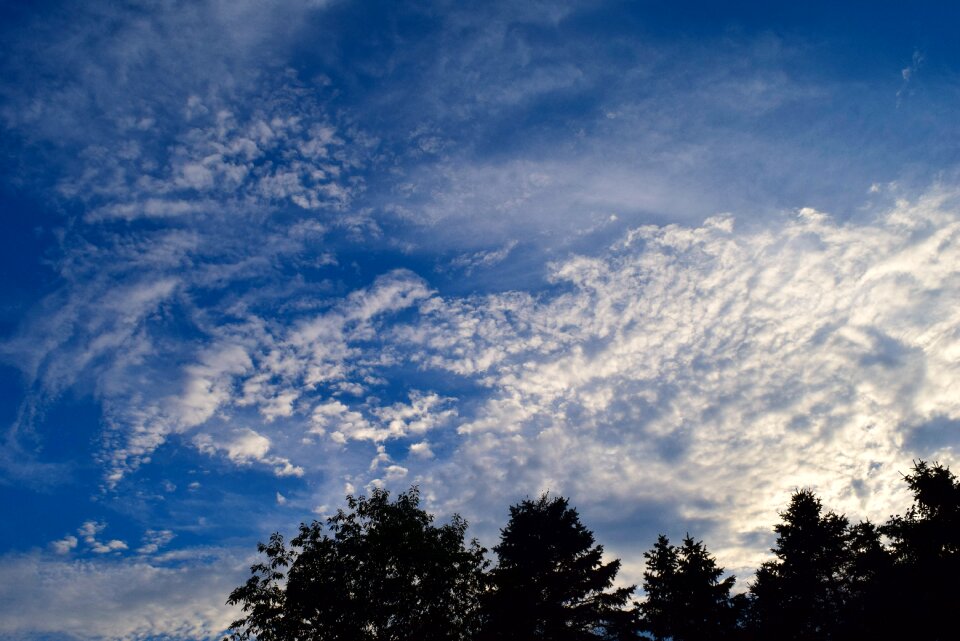 Sunset evening trees photo