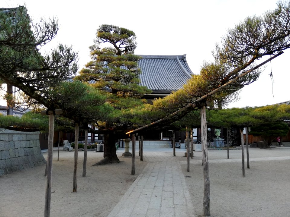 Sekiyōzan Honpuku-ji (Honkatata) 20210213 02