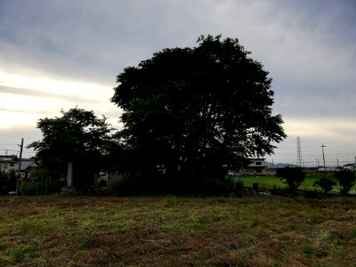 Senzoku Kofun Group Kuyōzuka Kofun 20210606 13