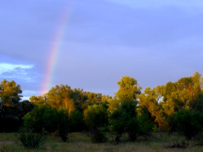 Rozhivska spit rainbow 02