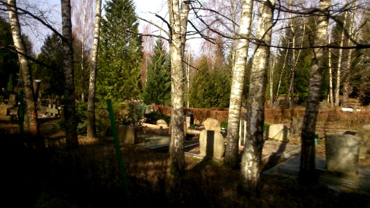 Rokantiškės Cemetery1