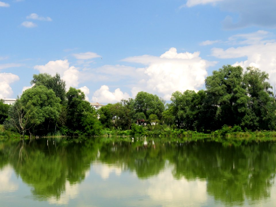 Rokach river3