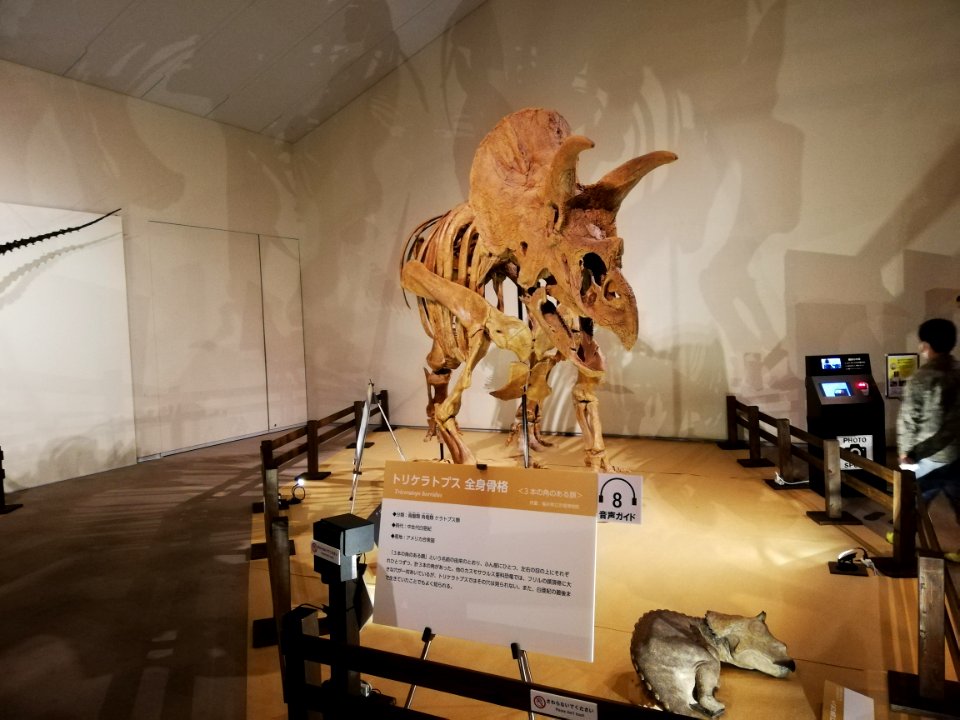 Sagawa Art Museum 20210407 18