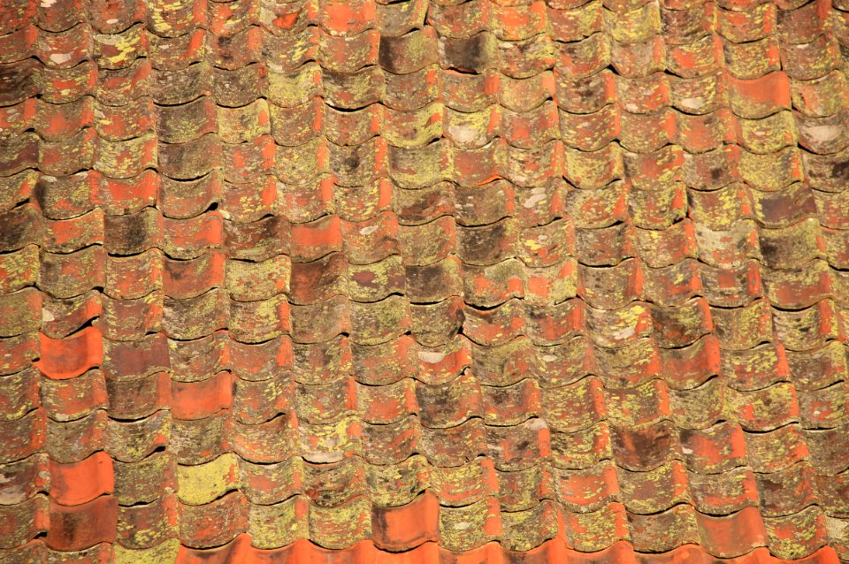 Roof tiles with lichen
