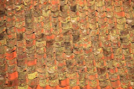 Roof tiles with lichen photo