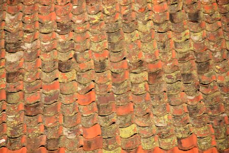 Roof tiles with lichen-2 photo