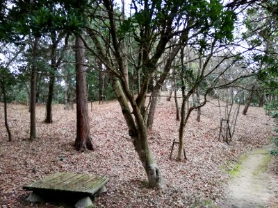 Sakurabasama Historic Park 20210307 03