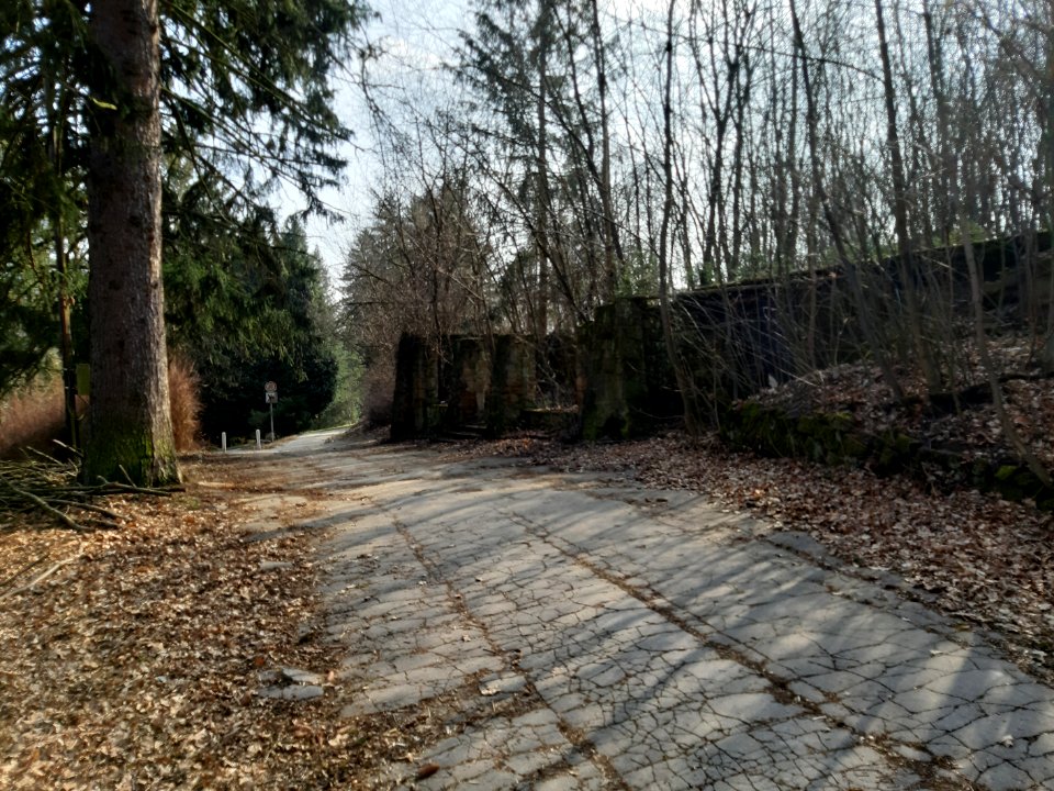 Ruiny - Slovácká búda 20210325 143543