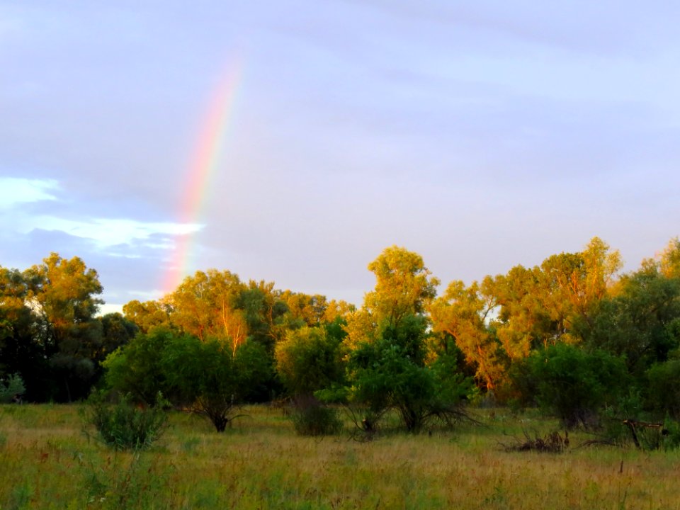 Rozhivska spit rainbow 04