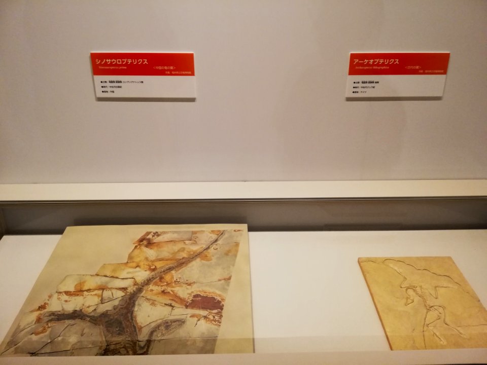 Sagawa Art Museum 20210407 33