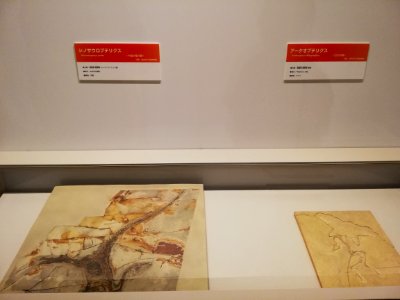 Sagawa Art Museum 20210407 33