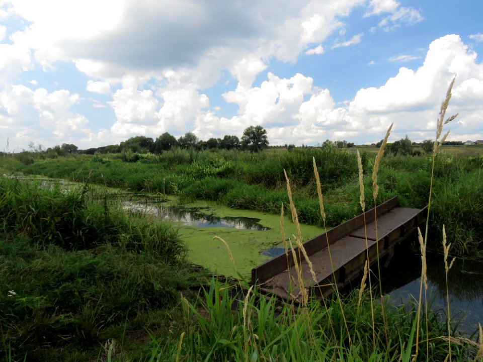 Rokach river1