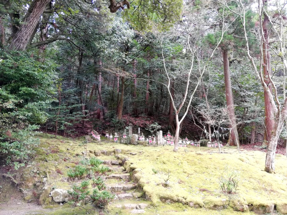 Ryūōzan Saimyō-ji Temple 20210305 23
