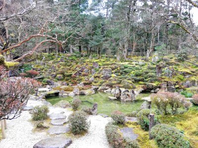 Ryūōzan Saimyō-ji Temple 20210305 07