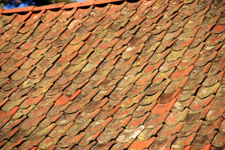 Roof tiles with lichen-3 photo