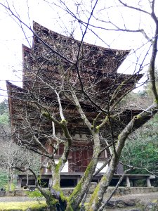 Ryūōzan Saimyō-ji Temple 20210305 21