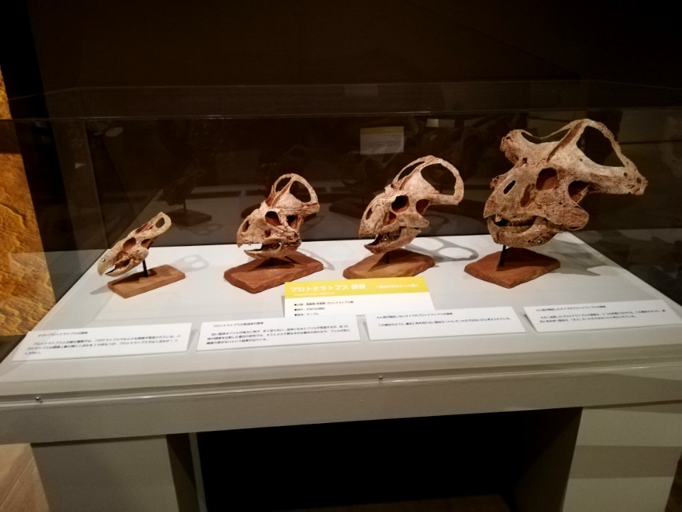 Sagawa Art Museum 20210407 24