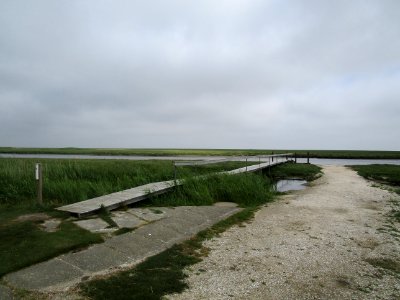 SønderhoHavn