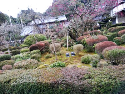 Ryūōzan Saimyō-ji Temple 20210305 03