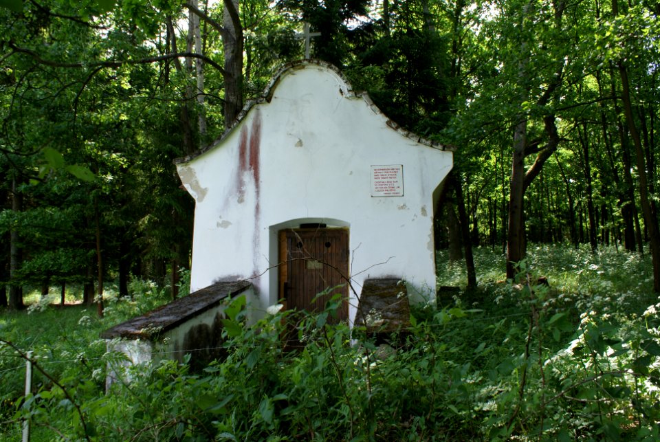Saint Vitus chapel Skály-Budičovice 04