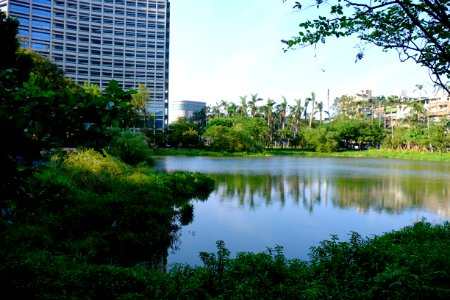 Songshan Cultural and Creative Park Pond in Autumn Time 20150918g
