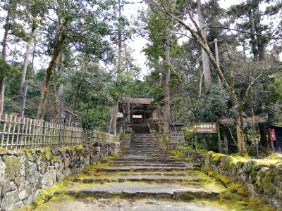 Ryūōzan Saimyō-ji Temple 20210305 24