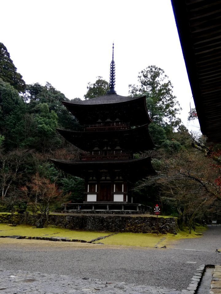 Ryūōzan Saimyō-ji Temple 20210305 17