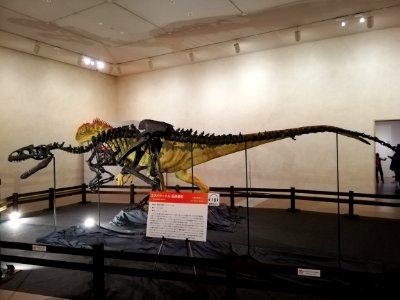 Sagawa Art Museum 20210407 32