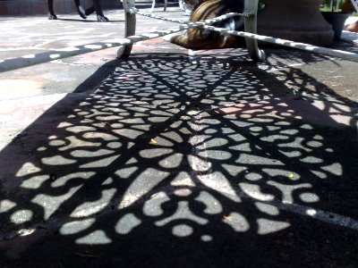 Sombra de mesa larga, en Xoxocotla Mor