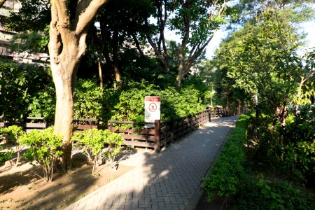 South Walkway in Fumin Ecology Park Southwest Area 20141224