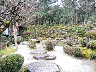 Ryūōzan Saimyō-ji Temple 20210305 08