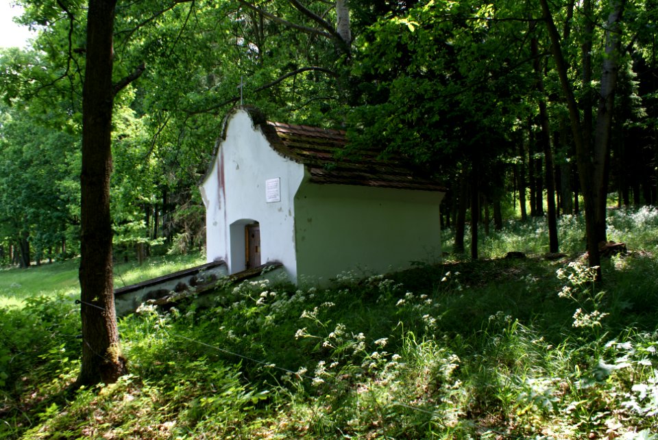 Saint Vitus chapel Skály-Budičovice 05
