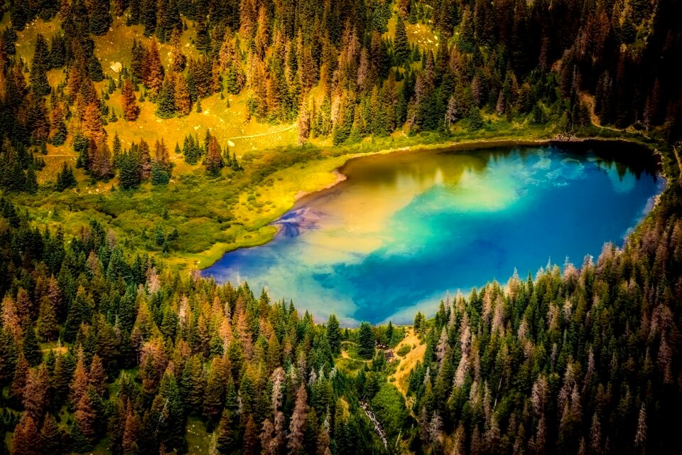 Woods lake water
