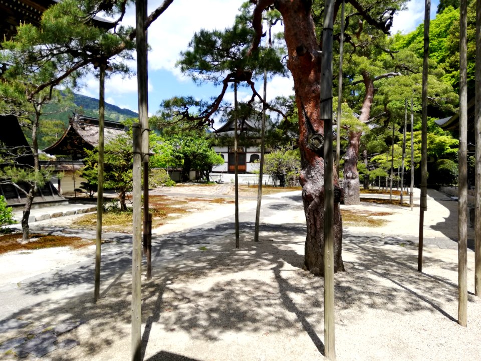 Ryōtakuzan Zenshō-ji Temple 20210503 13