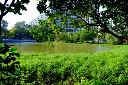 Songshan Cultural and Creative Park Pond in Autumn Time 20150918a